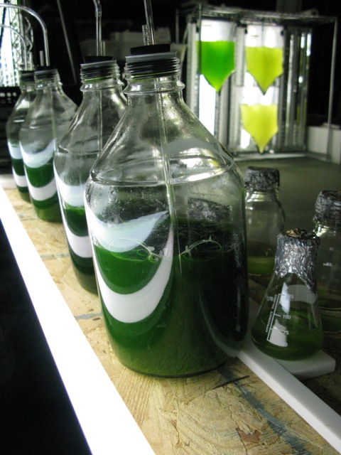 Algae Inoculation Lab