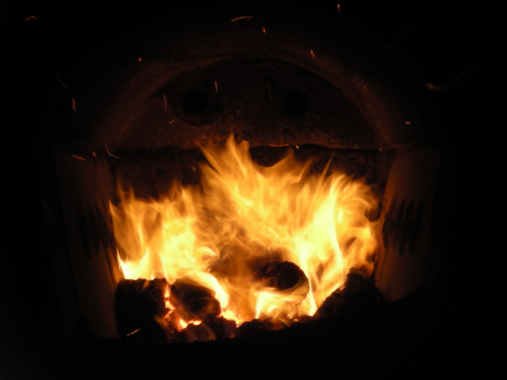 Briquette Combustion