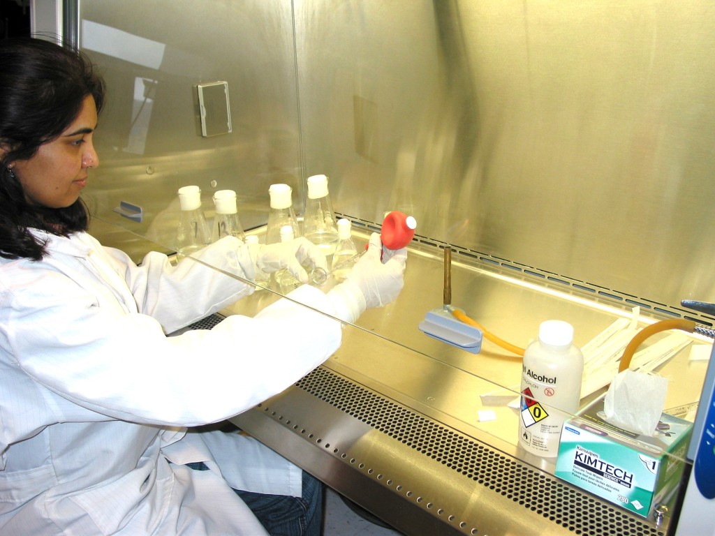 Researcher in Lab