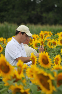 UVM Extension's Chris Callahan takes notes in the field 