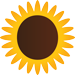 sunflower_about