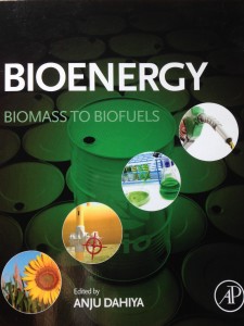 Bioenergy; Biomass to Biofuels